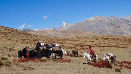 Beni to Dolpo. Nepal.