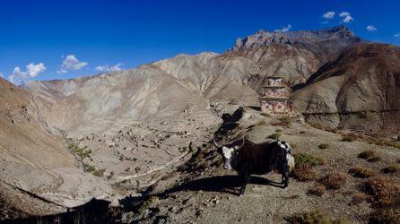 Beni to Dolpo. Nepal.