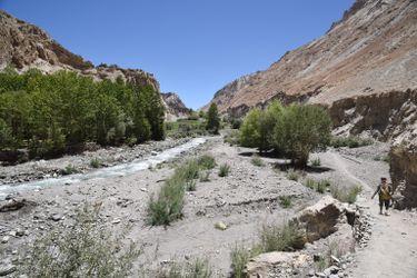 Markha valley. India.